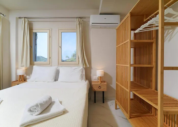 Helicon Luxury Vila *